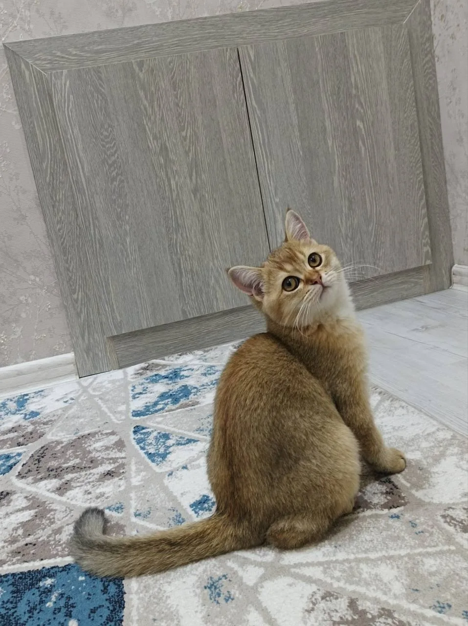 Boshqa zot — rasm 2