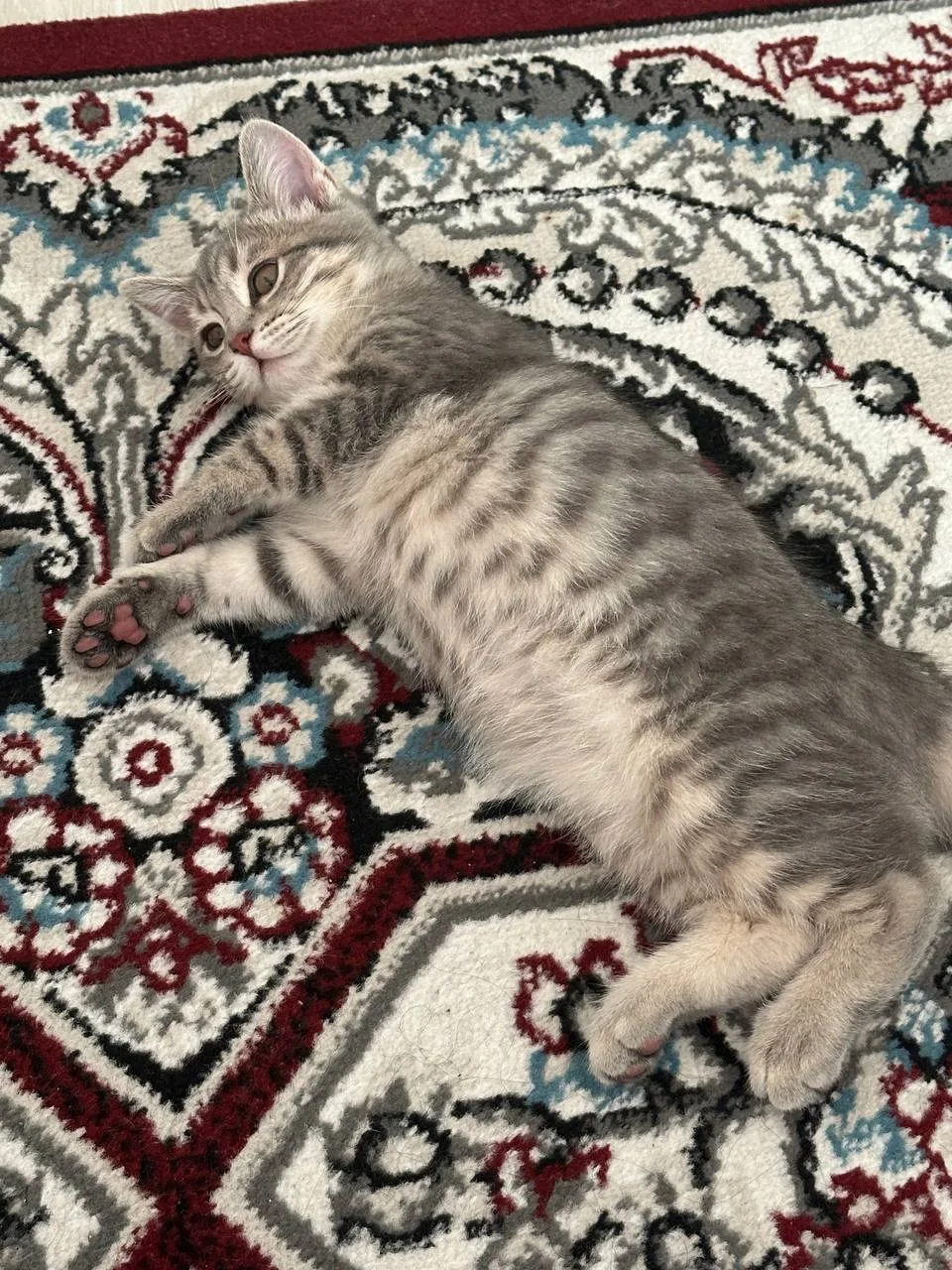 Boshqa zot — rasm 5