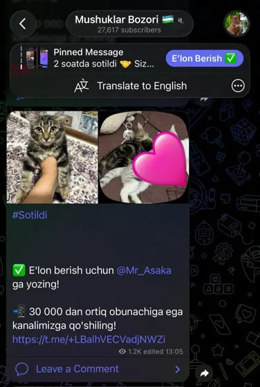 Sotildi: xaridor bilan yozishma