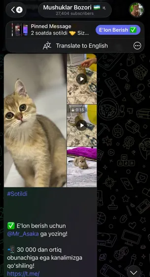 Sotildi: xaridor bilan yozishma
