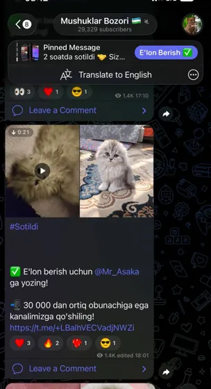 Sotildi: xaridor bilan yozishma