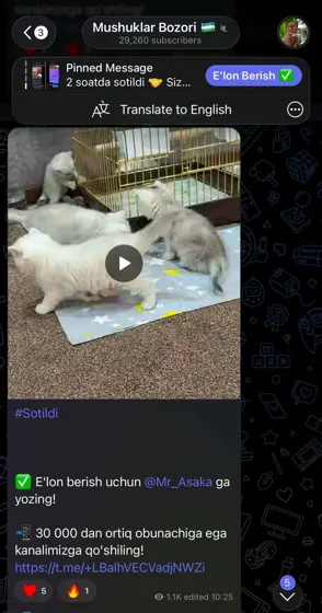 Sotildi: xaridor bilan yozishma