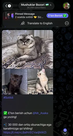 Sotildi: xaridor bilan yozishma