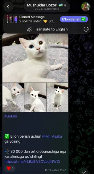 Sotildi: xaridor bilan yozishma