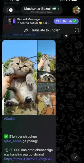 Sotildi: xaridor bilan yozishma