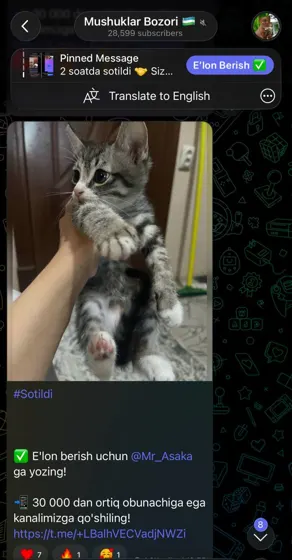 Sotildi: xaridor bilan yozishma