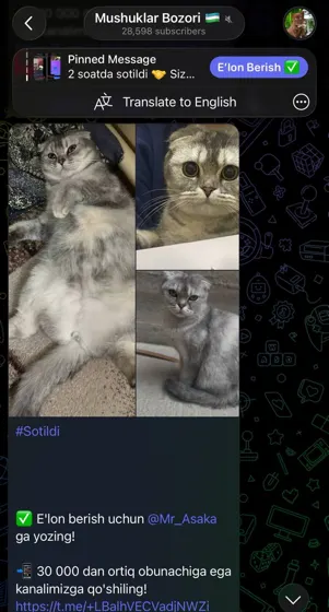 Sotildi: xaridor bilan yozishma