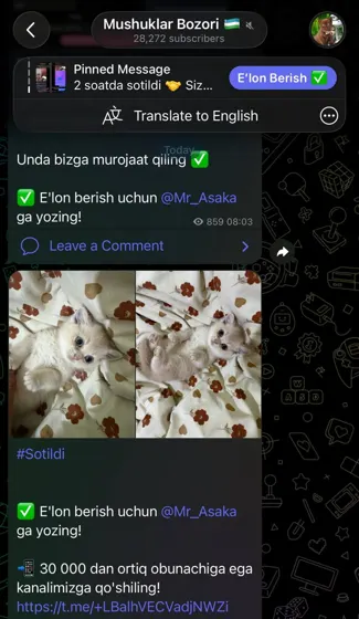 Sotildi: xaridor bilan yozishma