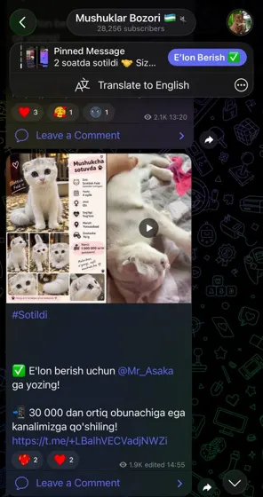 Sotildi: xaridor bilan yozishma