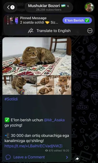Sotildi: xaridor bilan yozishma