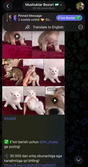 Sotildi: xaridor bilan yozishma