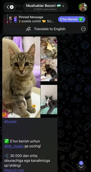 Sotildi: xaridor bilan yozishma