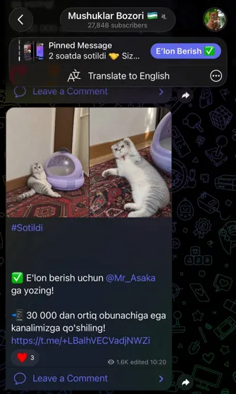 Sotildi: xaridor bilan yozishma